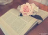 Giới thiệu tài liệu điện tử mới tháng 11/2013